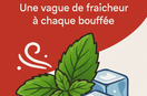 🌿saveurs mentholées