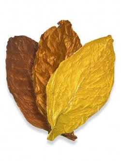 🍂 Tabac Végétol