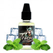 DIY Shiva - Ultimatives A&L